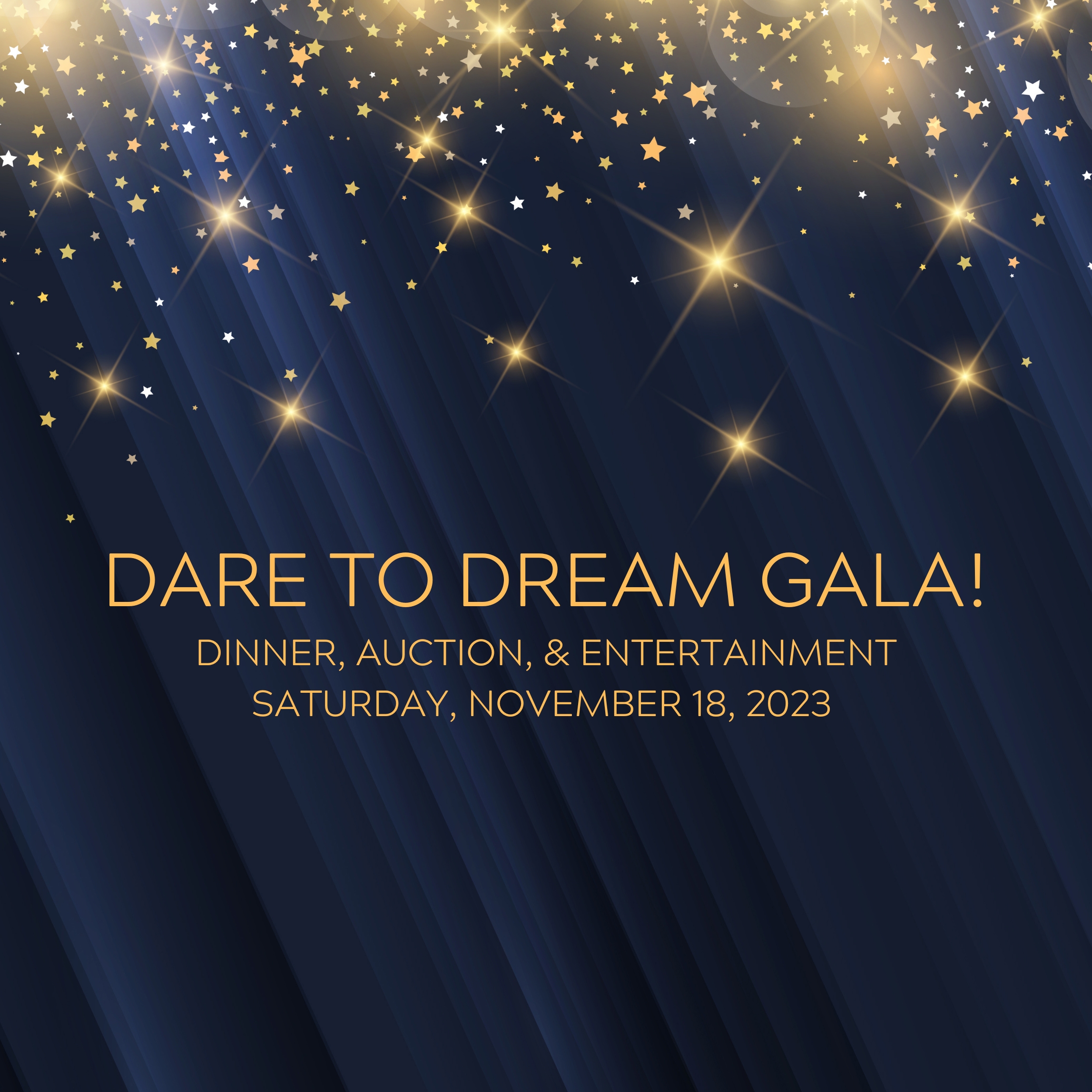 Spina Bifida Association of New York State's Dare to Dream Gala