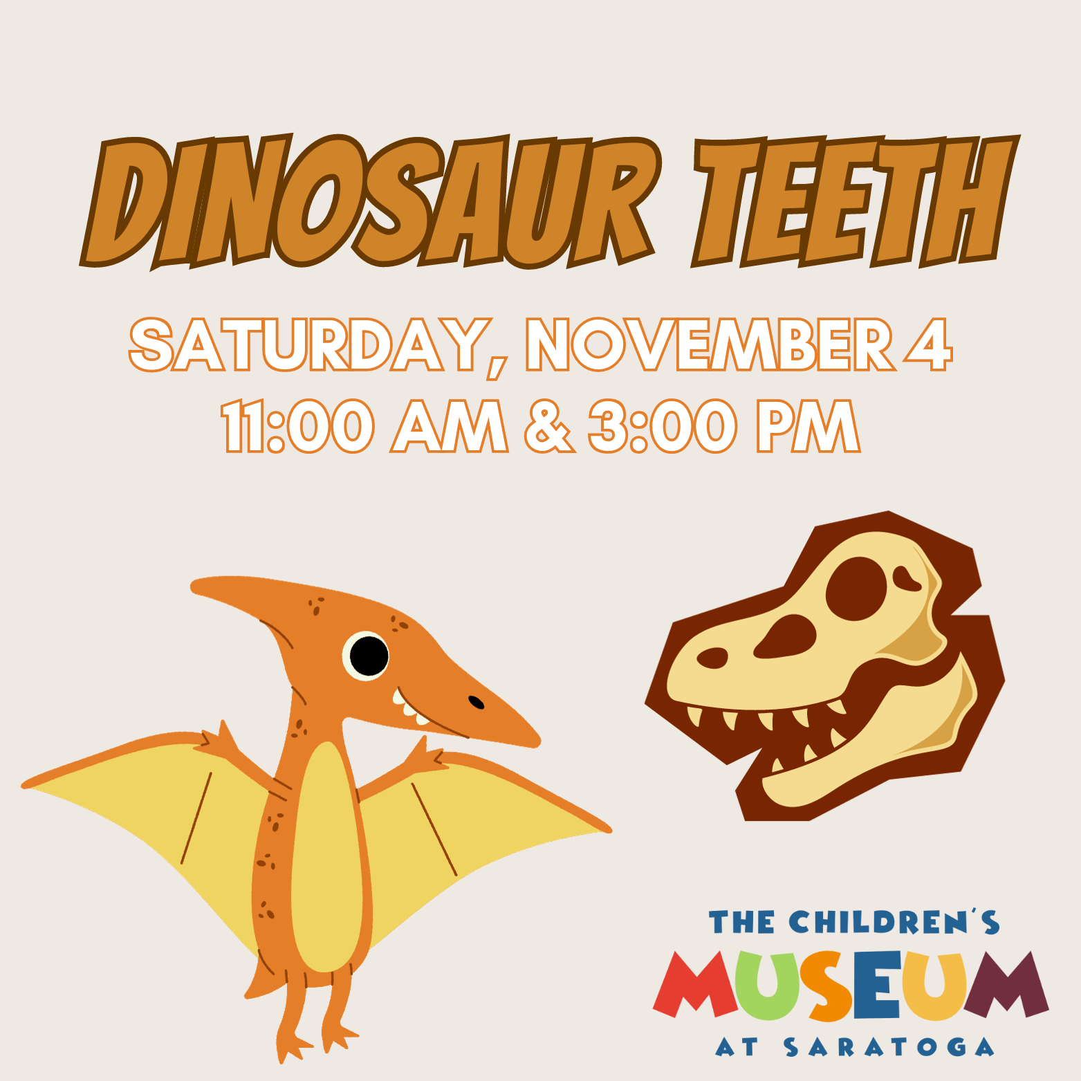 Read more about the article Dinosaur Teeth!