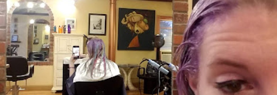 V Salon