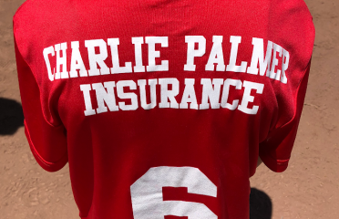 Charlie Palmer – State Farm Insurance Agent