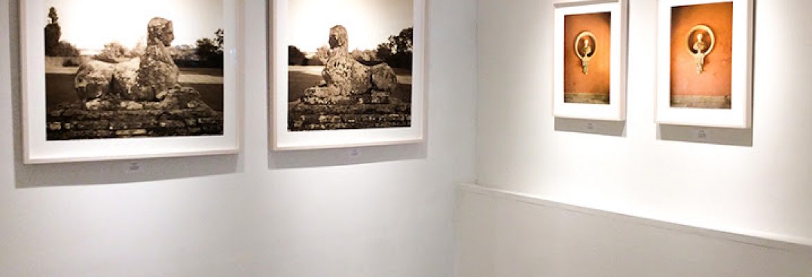 Carrie Haddad Gallery