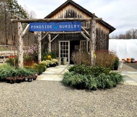Pondside Nursery – Garden Center and Landscaping