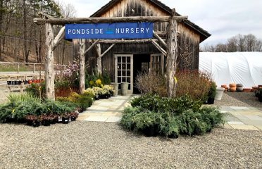 Pondside Nursery – Garden Center and Landscaping