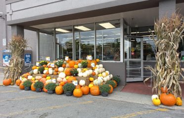 Gift Shops In Albany, NY, Florists In Albany NY, Gifts In Albany NY, Flowers In Albany NY, Gift Baskets In Albany NY, Flower Shops In Albany NY
