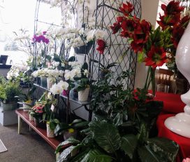 Surroundings Floral Studio