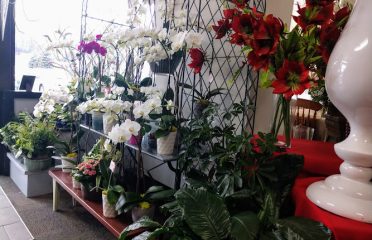 Surroundings Floral Studio