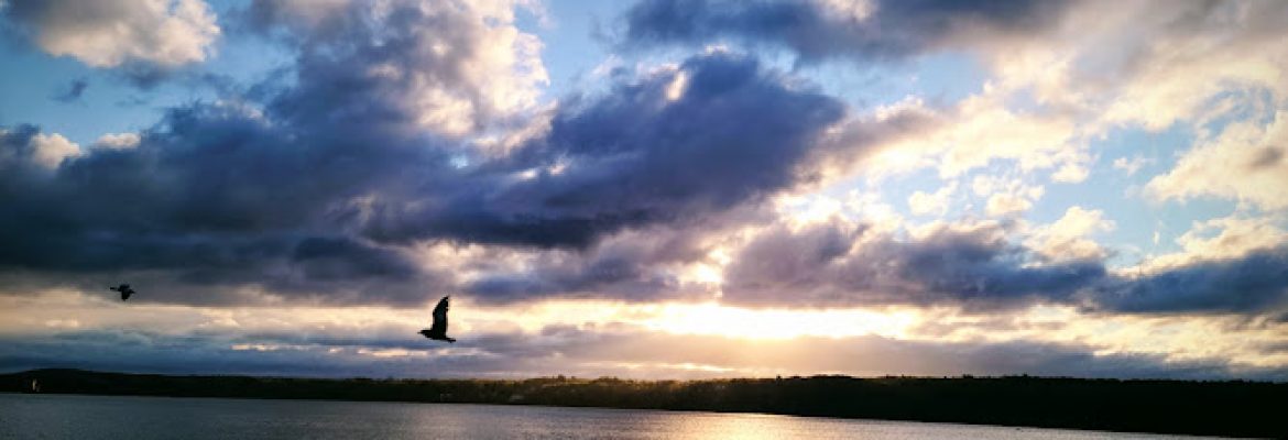 Camps In The Capital Region, Stables In The Capital Region, Health & Fitness In The Capital Region, Skiing In The Capital Region, Day Camp, Sports & Recreation In The Capital Region, Golf In The Capital Region, Albany NY
