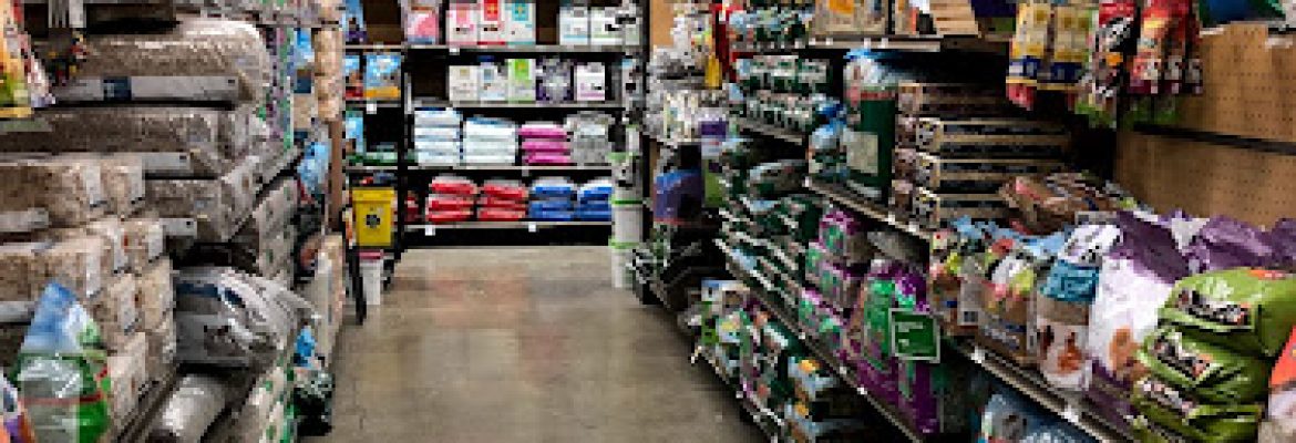 Pet Stores In The Capital Region, Pet Supplies In The Capital Region, Pet Grooming In The Capital Region, Pet Day Care In The Capital Region, Pet Boarding Capital Region, Veterinarians Capital Region, Animal Hospitals Capital Region, Pet Stores Albany NY