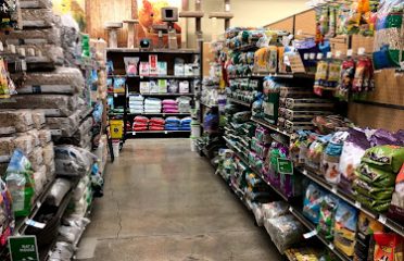 Pet Stores In The Capital Region, Pet Supplies In The Capital Region, Pet Grooming In The Capital Region, Pet Day Care In The Capital Region, Pet Boarding Capital Region, Veterinarians Capital Region, Animal Hospitals Capital Region, Pet Stores Albany NY