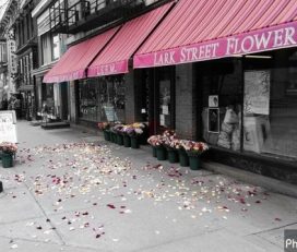 Lark Street Flower Market Inc