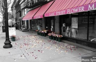 Lark Street Flower Market Inc