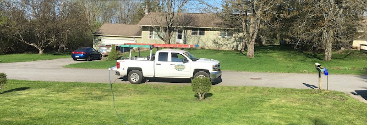 Pest Control Services In The Capital Region, Exterminators In The Capital Region, Pest Control Services Capital Region, Exterminators Capital Region, Pest Control Services Albany NY, Exterminators Saratoga Springs NY, Pest Control Services Schenectady, NY