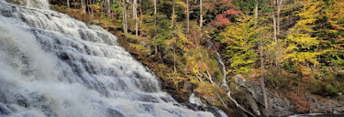 Camps In The Capital Region, Stables In The Capital Region, Health & Fitness In The Capital Region, Skiing In The Capital Region, Day Camp, Sports & Recreation In The Capital Region, Golf In The Capital Region, Albany NY