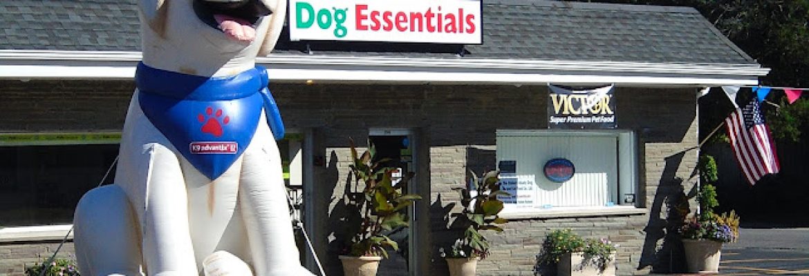 Pet Stores In The Capital Region, Pet Supplies In The Capital Region, Pet Grooming In The Capital Region, Pet Day Care In The Capital Region, Pet Boarding Capital Region, Veterinarians Capital Region, Animal Hospitals Capital Region, Pet Stores Albany NY