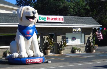 Pet Stores In The Capital Region, Pet Supplies In The Capital Region, Pet Grooming In The Capital Region, Pet Day Care In The Capital Region, Pet Boarding Capital Region, Veterinarians Capital Region, Animal Hospitals Capital Region, Pet Stores Albany NY