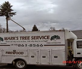 Mark’s Tree Service