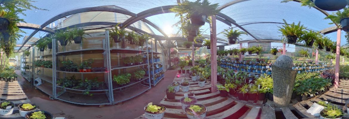 Plant Nurseries Capital Region, Green Houses Capital Region, Garden Centers Capital Region, Plant Nurseries Albany NY, Green Houses Troy NY, Garden Centers Schenectady NY, Plant Nurseries Saratoga Springs NY, Green Houses Albany NY, Garden Centers Troy NY