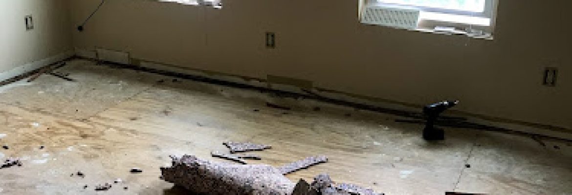 Building Contractors In The Capital Region, Builders In The Capital Region, Home Builders In The Capital Region, Building Contractors In Albany, NY, Building Contractors In Troy NY, Building Contractors In Schenectady NY, Building Contractors In Saratoga Springs NY
