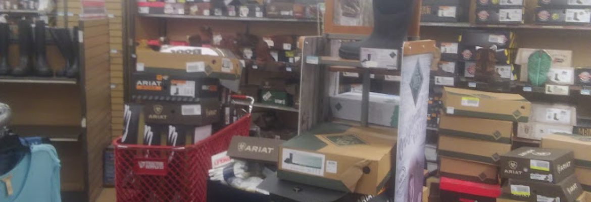 Pet Stores In The Capital Region, Pet Supplies In The Capital Region, Pet Grooming In The Capital Region, Pet Day Care In The Capital Region, Pet Boarding Capital Region, Veterinarians Capital Region, Animal Hospitals Capital Region, Pet Stores Albany NY