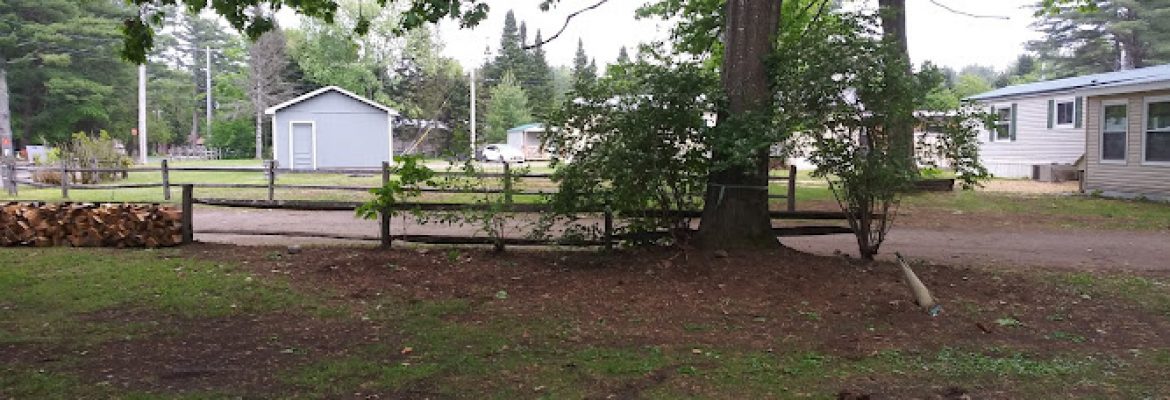 Landscaping Contractors Capital Region, Landscapers Capital Region, Lawn Care Services Capital Region, Landscape Contractors Albany NY, Landscapers Troy NY, Lawn Care Services Schenectady NY, Landscapers Saratoga Springs NY