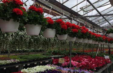 Plant Nurseries Capital Region, Green Houses Capital Region, Garden Centers Capital Region, Plant Nurseries Albany NY, Green Houses Troy NY, Garden Centers Schenectady NY, Plant Nurseries Saratoga Springs NY, Green Houses Albany NY, Garden Centers Troy NY