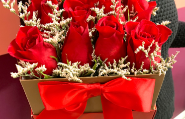Gift Shops In The Capital Region, Florist Capital Region, Gifts In The Capital Region, Flowers In The Capital Region, Gift Baskets In The Capital Region, Flower Shops In The Capital Region