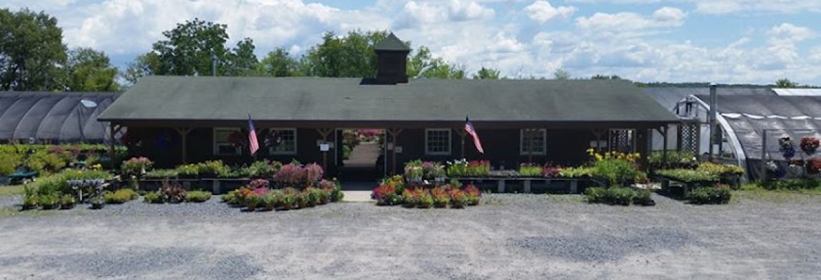 Plant Nurseries Capital Region, Green Houses Capital Region, Garden Centers Capital Region, Plant Nurseries Albany NY, Green Houses Troy NY, Garden Centers Schenectady NY, Plant Nurseries Saratoga Springs NY, Green Houses Albany NY, Garden Centers Troy NY