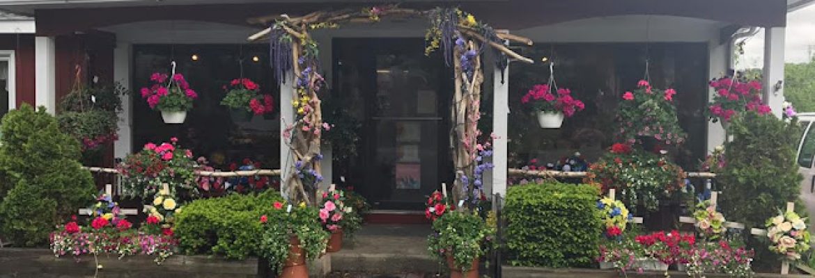 Plant Nurseries Capital Region, Green Houses Capital Region, Garden Centers Capital Region, Plant Nurseries Albany NY, Green Houses Troy NY, Garden Centers Schenectady NY, Plant Nurseries Saratoga Springs NY, Green Houses Albany NY, Garden Centers Troy NY