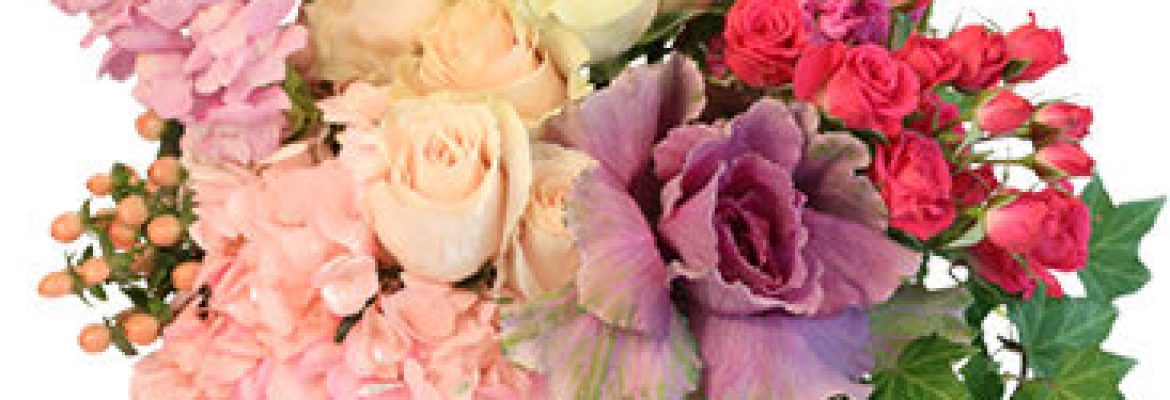 Gift Shops In Albany, NY, Florists In Albany NY, Gifts In Albany NY, Flowers In Albany NY, Gift Baskets In Albany NY, Flower Shops In Albany NY