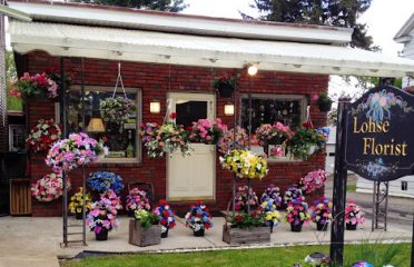 Gift Shops In Albany, NY, Florists In Albany NY, Gifts In Albany NY, Flowers In Albany NY, Gift Baskets In Albany NY, Flower Shops In Albany NY