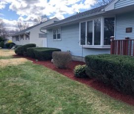 Pro Value Landscaping & Snow Removal
