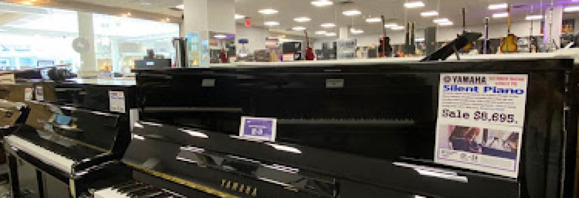 Musical Instrument Stores Capital Region, Music Stores Capital Region, Music Lessons Capital Region, Musical Instrument Repairs Capital Region, Piano Repairs Capital Region, Musical Instrument Stores Albany NY, Music Stores Troy NY, Guitar Lessons Schenectady NY