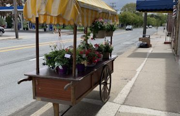 Gift Shops In Albany, NY, Florists In Albany NY, Gifts In Albany NY, Flowers In Albany NY, Gift Baskets In Albany NY, Flower Shops In Albany NY