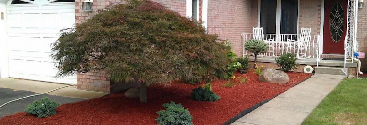 Landscaping Contractors Capital Region, Landscapers Capital Region, Lawn Care Services Capital Region, Landscape Contractors Albany NY, Landscapers Troy NY, Lawn Care Services Schenectady NY, Landscapers Saratoga Springs NY