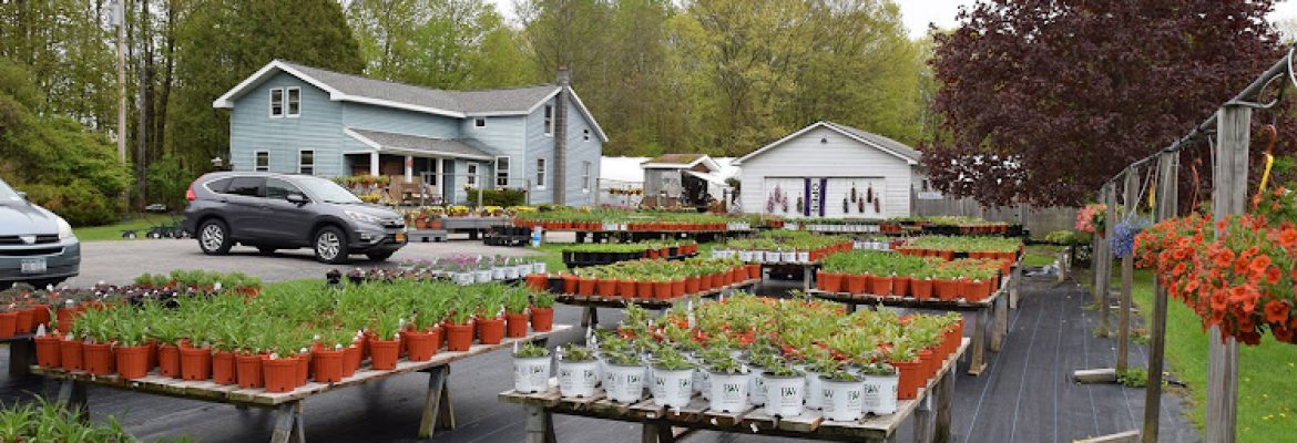 Plant Nurseries Capital Region, Green Houses Capital Region, Garden Centers Capital Region, Plant Nurseries Albany NY, Green Houses Troy NY, Garden Centers Schenectady NY, Plant Nurseries Saratoga Springs NY, Green Houses Albany NY, Garden Centers Troy NY