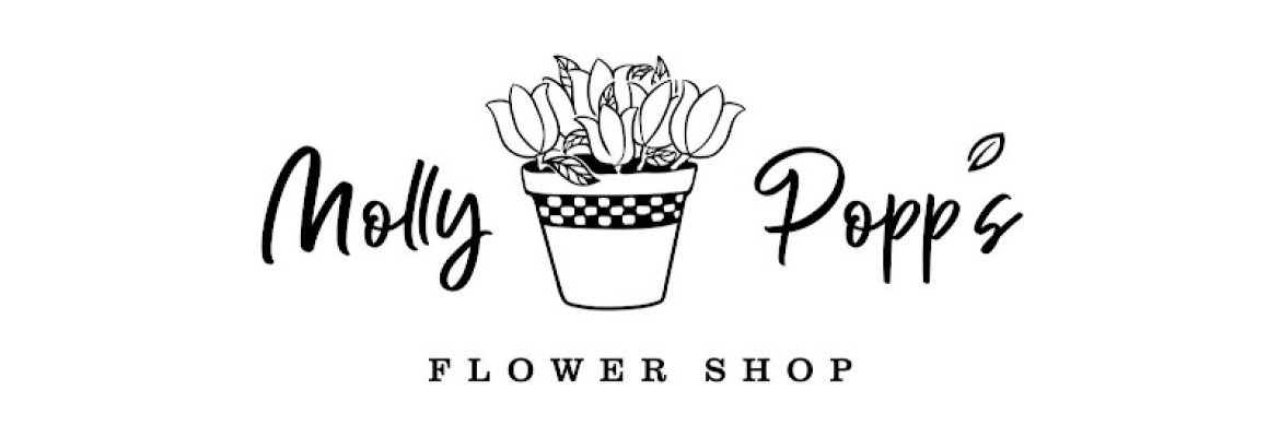 Gift Shops In Albany, NY, Florists In Albany NY, Gifts In Albany NY, Flowers In Albany NY, Gift Baskets In Albany NY, Flower Shops In Albany NY