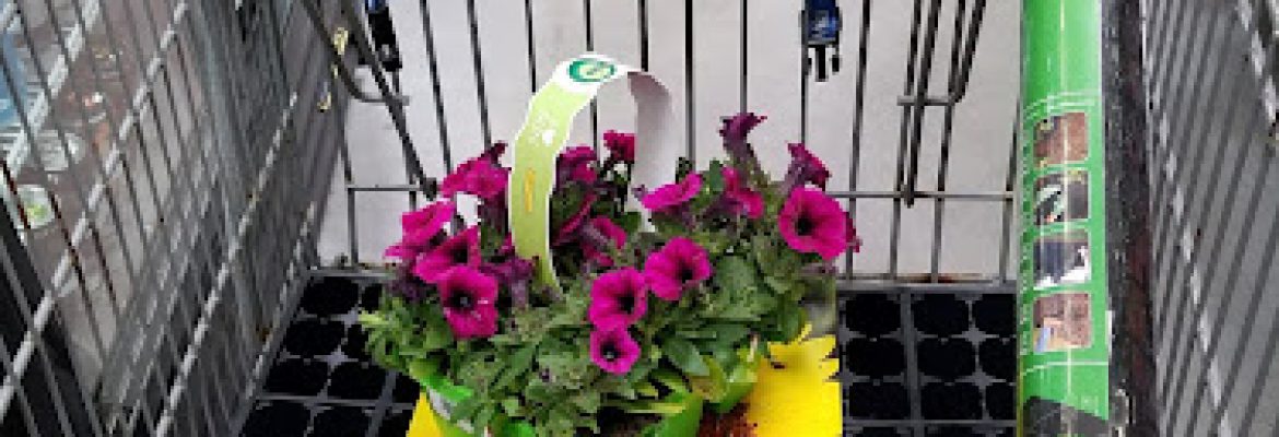 Plant Nurseries Capital Region, Green Houses Capital Region, Garden Centers Capital Region, Plant Nurseries Albany NY, Green Houses Troy NY, Garden Centers Schenectady NY, Plant Nurseries Saratoga Springs NY, Green Houses Albany NY, Garden Centers Troy NY