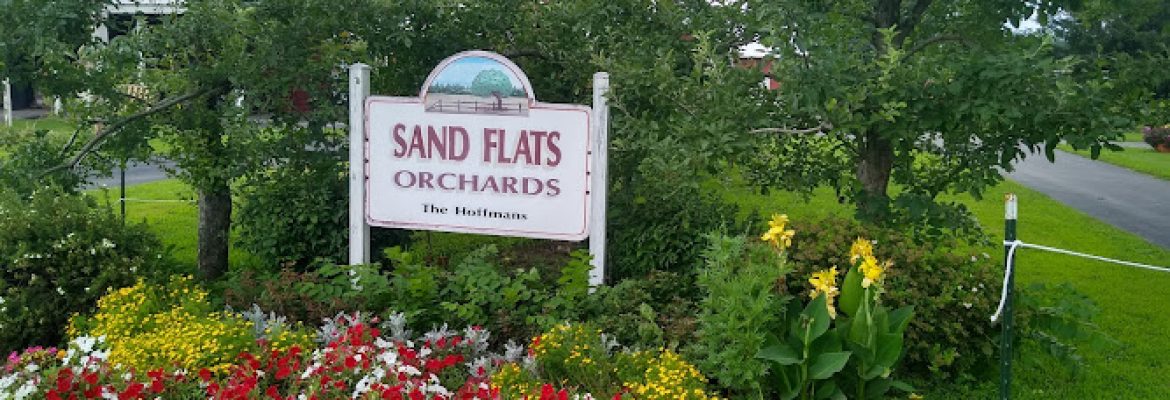 Plant Nurseries Capital Region, Green Houses Capital Region, Garden Centers Capital Region, Plant Nurseries Albany NY, Green Houses Troy NY, Garden Centers Schenectady NY, Plant Nurseries Saratoga Springs NY, Green Houses Albany NY, Garden Centers Troy NY