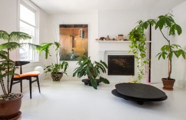 Nicole Vidor Real Estate