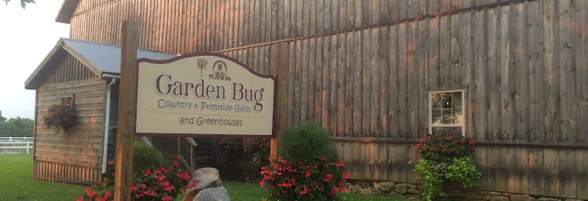 Garden Bug