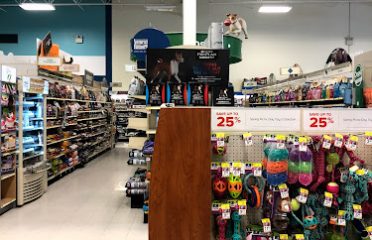 Pet Stores In The Capital Region, Pet Supplies In The Capital Region, Pet Grooming In The Capital Region, Pet Day Care In The Capital Region, Pet Boarding Capital Region, Veterinarians Capital Region, Animal Hospitals Capital Region, Pet Stores Albany NY