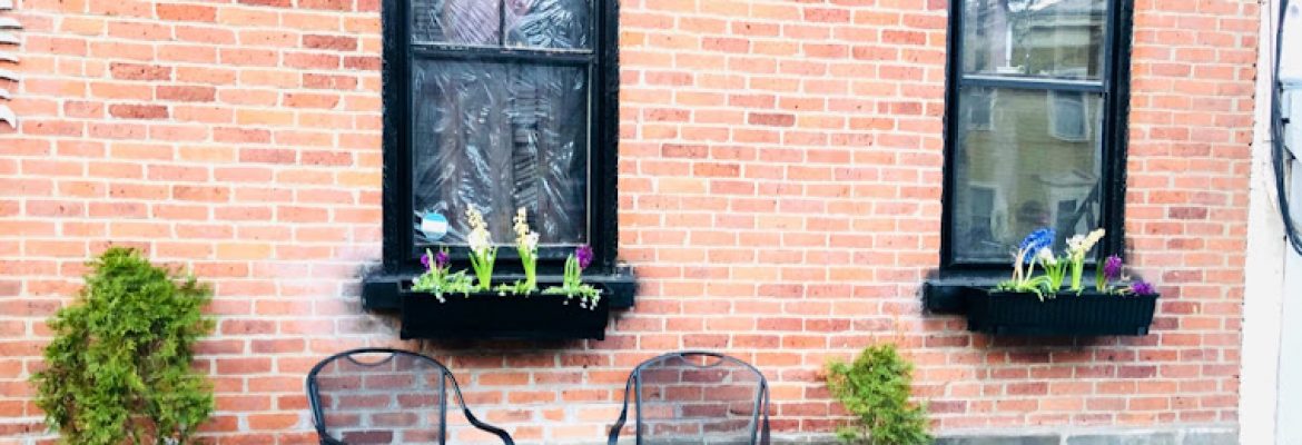Pet Stores In The Capital Region, Pet Supplies In The Capital Region, Pet Grooming In The Capital Region, Pet Day Care In The Capital Region, Pet Boarding Capital Region, Veterinarians Capital Region, Animal Hospitals Capital Region, Pet Stores Albany NY