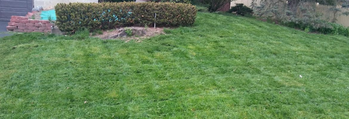 Landscaping Contractors Capital Region, Landscapers Capital Region, Lawn Care Services Capital Region, Landscape Contractors Albany NY, Landscapers Troy NY, Lawn Care Services Schenectady NY, Landscapers Saratoga Springs NY