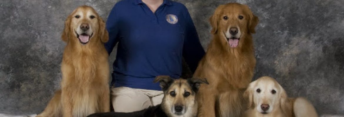 Pet Stores In The Capital Region, Pet Supplies In The Capital Region, Pet Grooming In The Capital Region, Pet Day Care In The Capital Region, Pet Boarding Capital Region, Veterinarians Capital Region, Animal Hospitals Capital Region, Pet Stores Albany NY