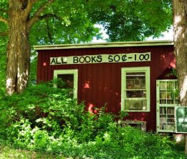 Little Red Book Shack
