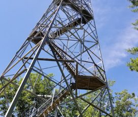 Stissing Mountain Fire Tower Parking Area