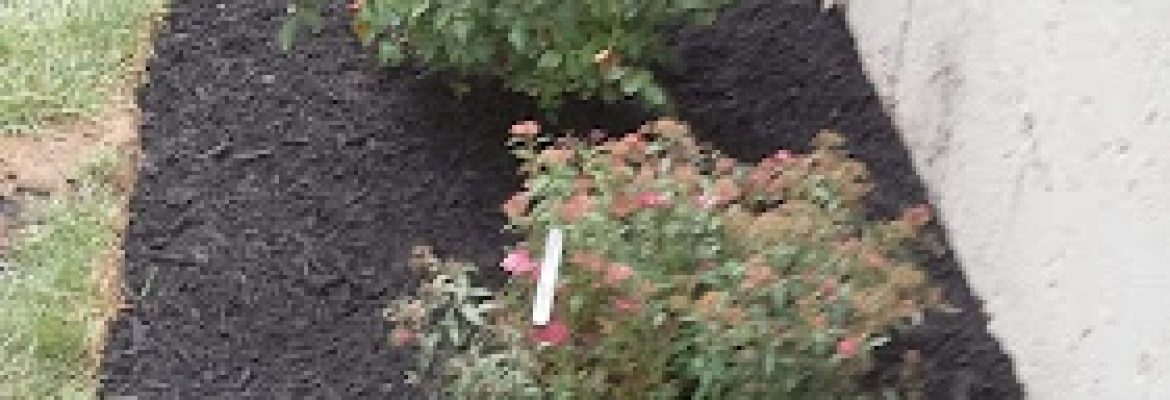 Landscaping Contractors Capital Region, Landscapers Capital Region, Lawn Care Services Capital Region, Landscape Contractors Albany NY, Landscapers Troy NY, Lawn Care Services Schenectady NY, Landscapers Saratoga Springs NY