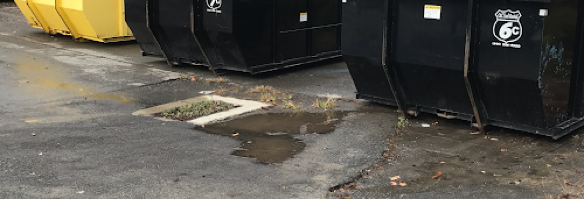 Garbage Collection Services Capital Region, Trash Pick Up Capital Region, Garbage Collection Services Capital Region NY, Trash Pick Up Troy NY, Garbage Collection Services Albany NY, Trash Pick Up Schenectady NY, Garbage Collection Services Albany NY, Trash Pick Up Troy NY