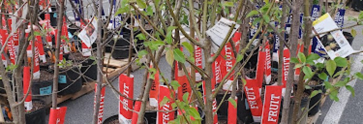 Plant Nurseries Capital Region, Green Houses Capital Region, Garden Centers Capital Region, Plant Nurseries Albany NY, Green Houses Troy NY, Garden Centers Schenectady NY, Plant Nurseries Saratoga Springs NY, Green Houses Albany NY, Garden Centers Troy NY