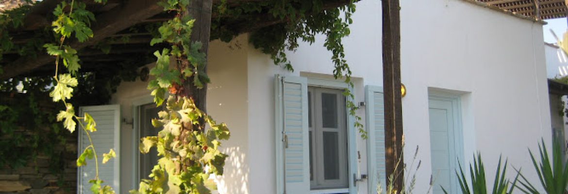 JanAlberRealtorCBPP